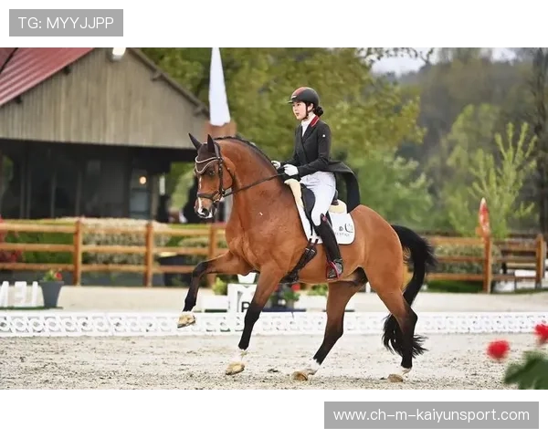荷兰马术协会与大学合作，开展马术运动营养研究，优化饮食方案。